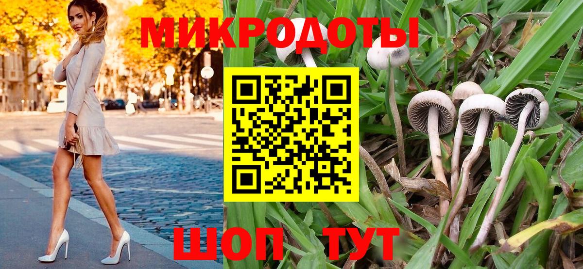 Богородск  Галлюциногенные грибы Cubensis  Вход с VPN 