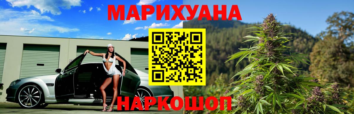 Канабис сатива Богородск